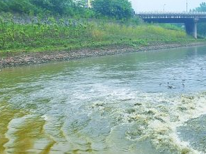 定兴污水清运多少钱